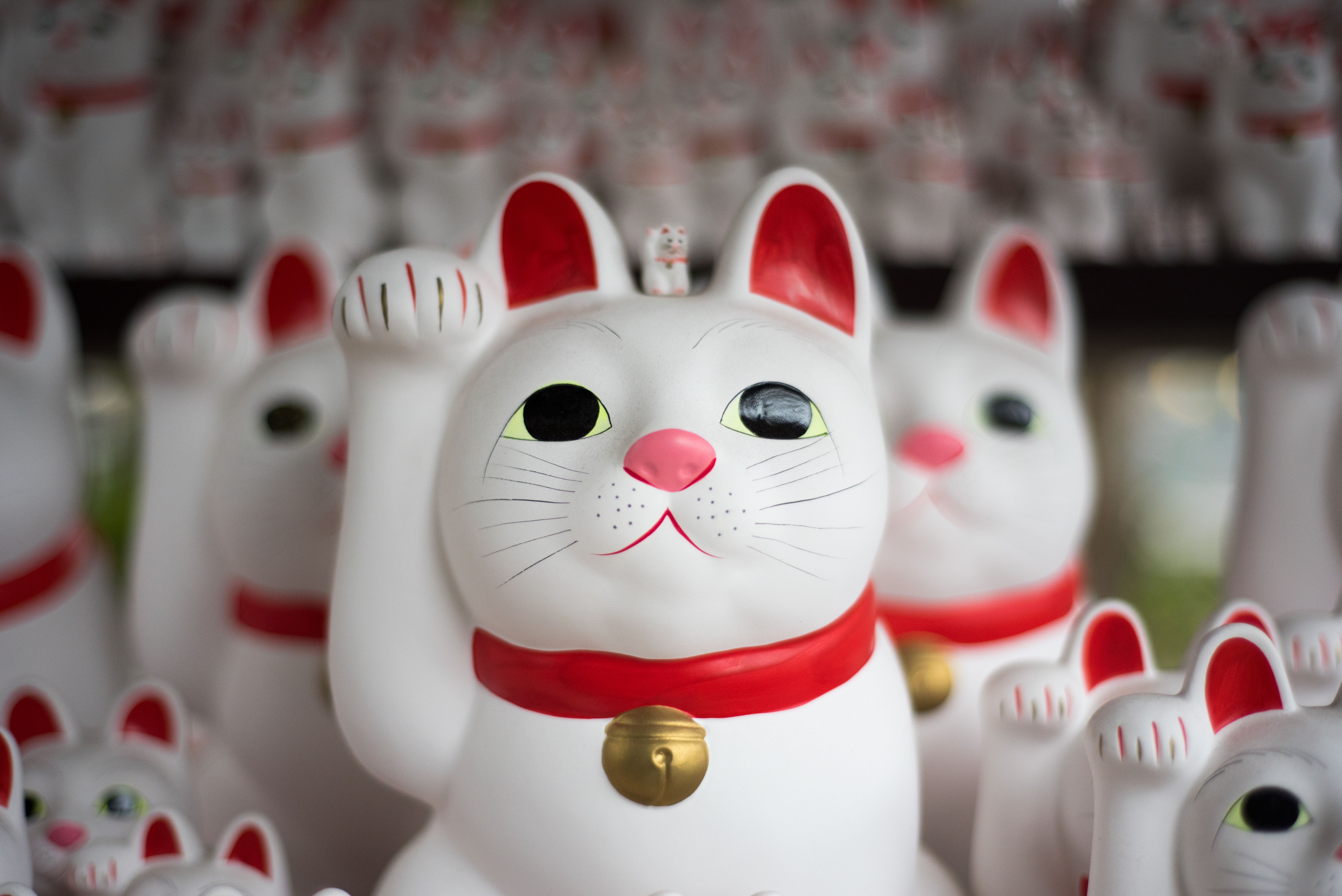 pronóstico esconder bofetada Maneki Neko, el gato de la suerte - Mirando hacia Japón